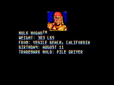 WWF Wrestlemania : The Arcade Game [USA]